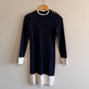 Navy Blue and White Dress from Ann Taylor